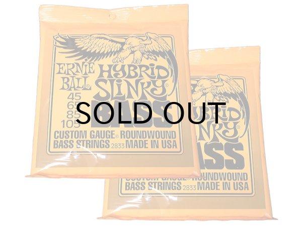 画像1: Ernie Ball　2833 (.045-.105) ベース弦×2セット [特価品] 【ゆうパケット送料込】 (1)