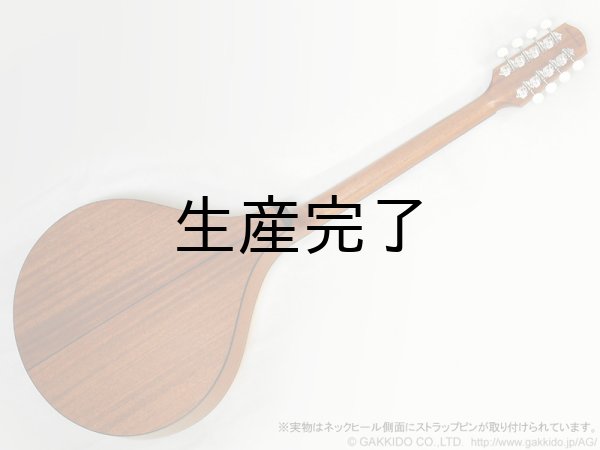 画像8: K.Yairi　BOY アイリッシュ・ブズーキ (8)