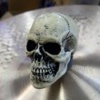 画像6: Dread Meister　Skull Cymbal Nut スカル・シンバルナット (6)