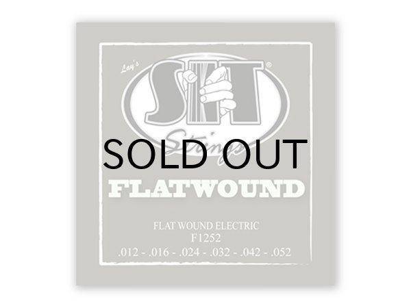 画像1: SIT　FLAT WOUND - Stainless Flat Wound [フラットワウンド] (1)