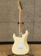 画像2: Fender　Eric Clapton Stratocaster [Olympic White] (2)