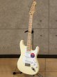 画像5: Fender　Eric Clapton Stratocaster [Olympic White] (5)