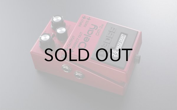 画像3: BOSS DM-2W Delay (3)