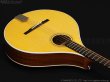 画像7: VINCENT　VZ-30 Irish Bouzouki アイリッシュ・ブズーキ [ボールエンド対応テイルピース仕様] (7)