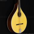 画像6: VINCENT　VZ-30 Irish Bouzouki アイリッシュ・ブズーキ (6)