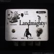 画像2: 320design　Landmighty (2)