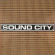 画像6: Sound City　1972 L90F L110/S 4×12" スピーカーキャビネット #21XX [中古品] (6)
