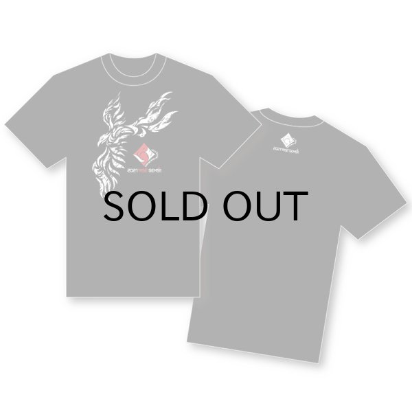 画像1: 2021 “RISE” GEMS!! ツアーTシャツ [デザインB] [ブラック] (1)