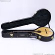 画像17: VINCENT　VZ-30 NL Irish Bouzouki アイリッシュ・ブズーキ [L.R.Baggs Element VTC ピックアップ搭載モデル] (17)