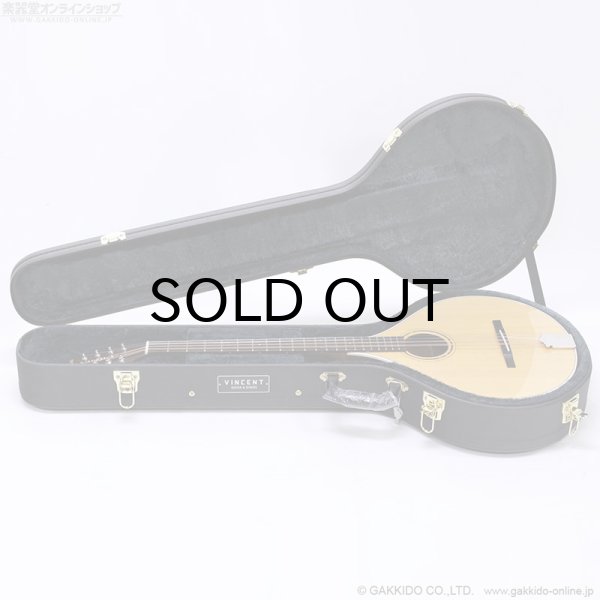 画像17: VINCENT　VZ-30 NL Irish Bouzouki アイリッシュ・ブズーキ [L.R.Baggs Element VTC ピックアップ搭載モデル] (17)