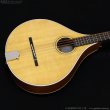 画像3: VINCENT　VZ-30 NL Irish Bouzouki アイリッシュ・ブズーキ [L.R.Baggs Element VTC ピックアップ搭載モデル] (3)