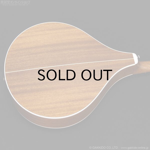 画像12: VINCENT　VZ-30 NL Irish Bouzouki アイリッシュ・ブズーキ [L.R.Baggs Element VTC ピックアップ搭載モデル] (12)