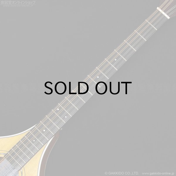 画像8: VINCENT　VZ-30 NL Irish Bouzouki アイリッシュ・ブズーキ [L.R.Baggs Element VTC ピックアップ搭載モデル] (8)