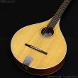 画像4: VINCENT　VZ-30 NL Irish Bouzouki アイリッシュ・ブズーキ [L.R.Baggs Element VTC ピックアップ搭載モデル] (4)