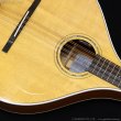 画像7: VINCENT　VZ-30 NL Irish Bouzouki アイリッシュ・ブズーキ [L.R.Baggs Element VTC ピックアップ搭載モデル] (7)