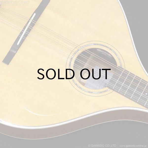 画像7: VINCENT　VZ-30 NL Irish Bouzouki アイリッシュ・ブズーキ [L.R.Baggs Element VTC ピックアップ搭載モデル] (7)