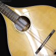 画像6: VINCENT　VZ-30 NL Irish Bouzouki アイリッシュ・ブズーキ [L.R.Baggs Element VTC ピックアップ搭載モデル] (6)