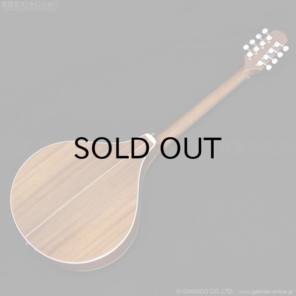 画像14: VINCENT　VZ-30 NL Irish Bouzouki アイリッシュ・ブズーキ [L.R.Baggs Element VTC ピックアップ搭載モデル] (14)