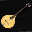 画像1: VINCENT　VZ-30 NL Irish Bouzouki アイリッシュ・ブズーキ [L.R.Baggs Element VTC ピックアップ搭載モデル] (1)