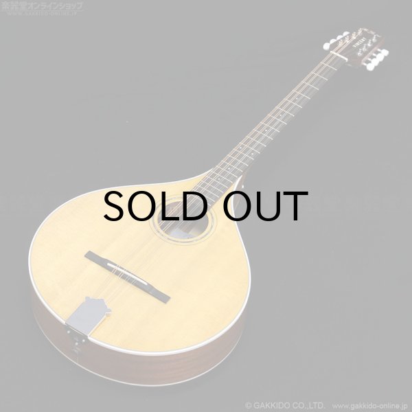 画像2: VINCENT　VZ-30 NL Irish Bouzouki アイリッシュ・ブズーキ [L.R.Baggs Element VTC ピックアップ搭載モデル] (2)