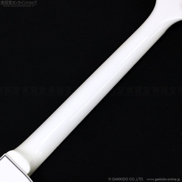 画像10: Edwards　E-LP-CTM WH [White] (10)