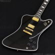 画像2: Gibson Custom Shop　Firebird Custom w/ Ebony Fingerboard Gloss [Ebony] (2)