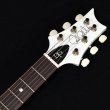 画像8: Paul Reed Smith　DGT Antique White (8)