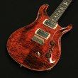 画像1: Paul Reed Smith　Custom 24-08 Orange Tiger  (1)