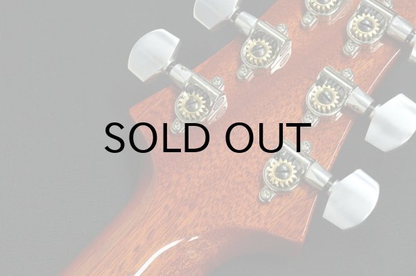 画像9: Paul Reed Smith (PRS)　SANTANA RETRO 2023 ORANGE (9)