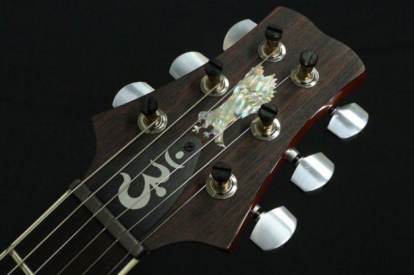 画像8: Paul Reed Smith (PRS) SANTANA RETRO 2023 ORANGE (8)