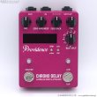 画像3: Providence　DLY-4 Chrono Delay クロノ・ディレイ (3)