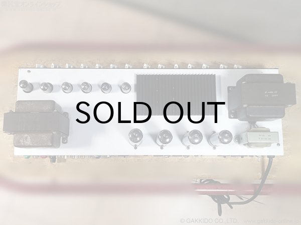 画像10: Bogner　Ecstasy 101B ギターアンプ ヘッド [中古品] (10)