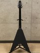 画像2: Edwards　E-FV-LTD BK [Black] (2)