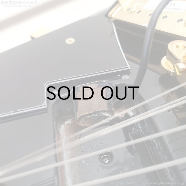 画像10: Edwards　E-LP-CTM “All Mahogany” BK [Black] [当店オリジナルモデル] (10)