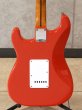 画像4: Squier　Classic Vibe 50s Stratocaster [Fiesta Red] (4)