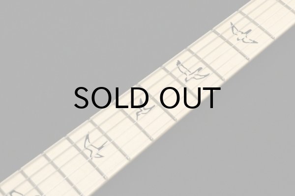 画像6: Paul Reed Smith (PRS)　NF 53 [White Doghair] 2024 (6)