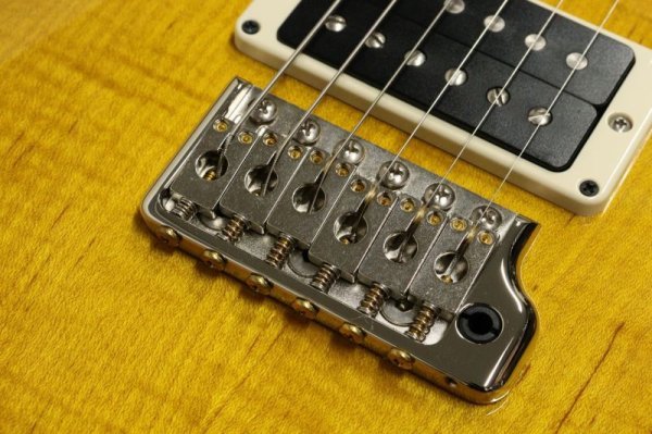 画像5: Paul Reed Smith (PRS) Custom 24 McCarty Tobacco Sunburst (5)