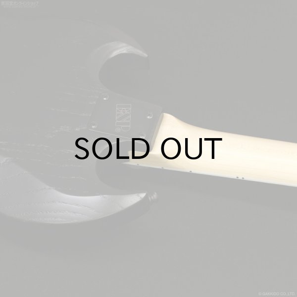 画像9: Edwards　E-VIPER-1H ABK [Alternative Black] (9)