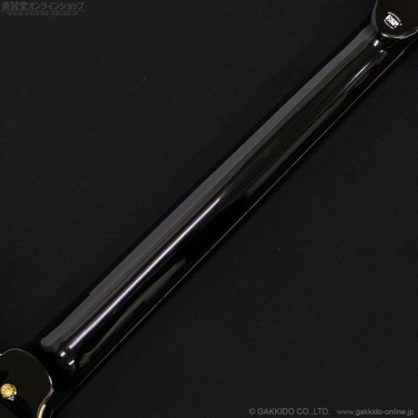 画像8: Edwards E-EP 猪狩秀平 シグネチャーモデル (8)