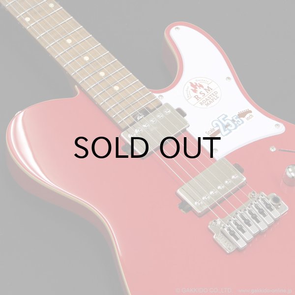 画像4: Bacchus　TACTICS24-STD/RSM FR [特価品] (4)