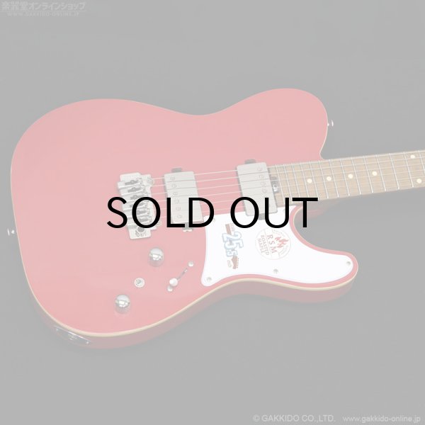 画像2: Bacchus　TACTICS24-STD/RSM FR [特価品] (2)