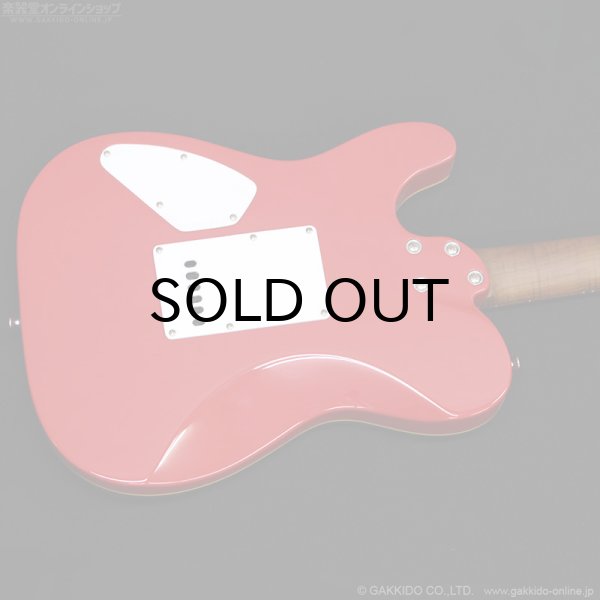 画像9: Bacchus　TACTICS24-STD/RSM FR [特価品] (9)