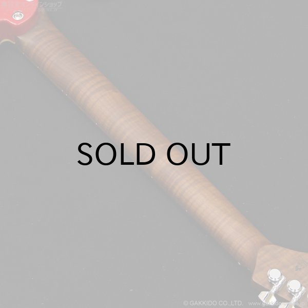 画像8: Bacchus　TACTICS24-STD/RSM FR [特価品] (8)