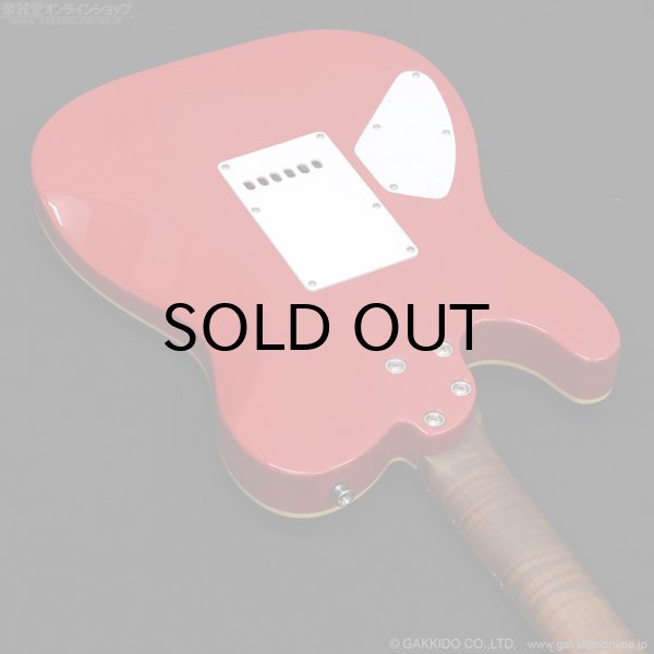 画像10: Bacchus　TACTICS24-STD/RSM FR [特価品] (10)