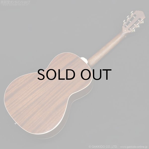 画像9: Guild P-240 MEMOIR (9)