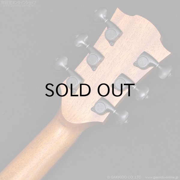 画像8: LAG Guitars THV10ACE-LB HyVibe (8)