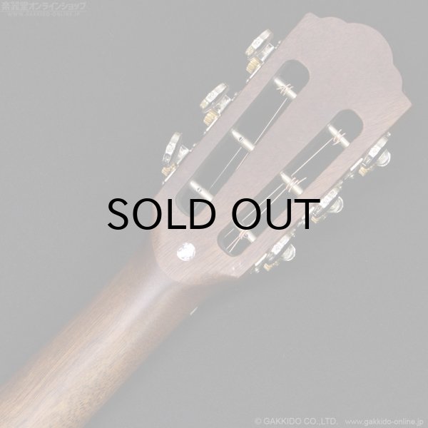 画像6: Guild P-240 MEMOIR (6)