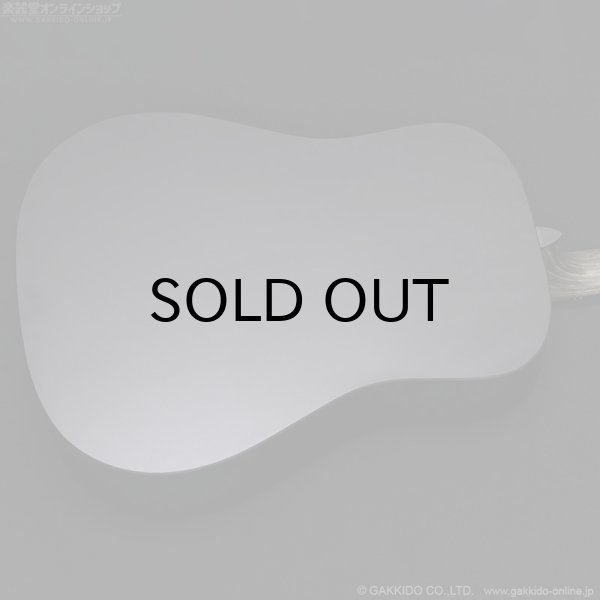 画像7: Martin D-X1 Black (7)