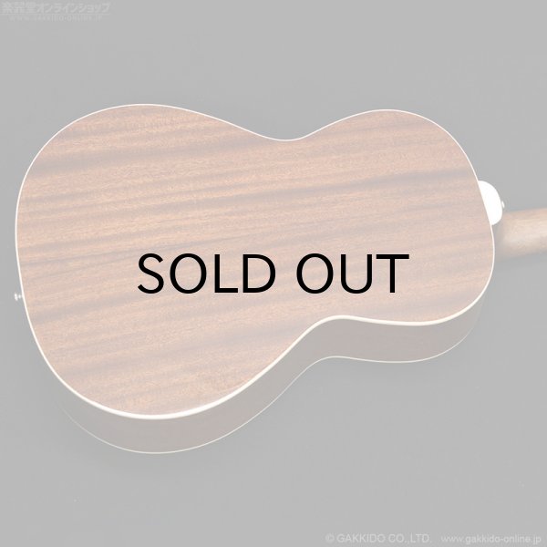 画像7: Guild P-240 MEMOIR (7)