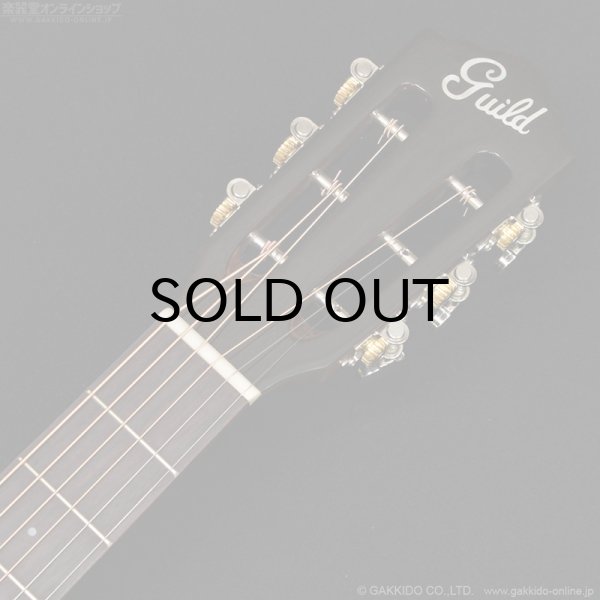 画像5: Guild P-240 MEMOIR (5)